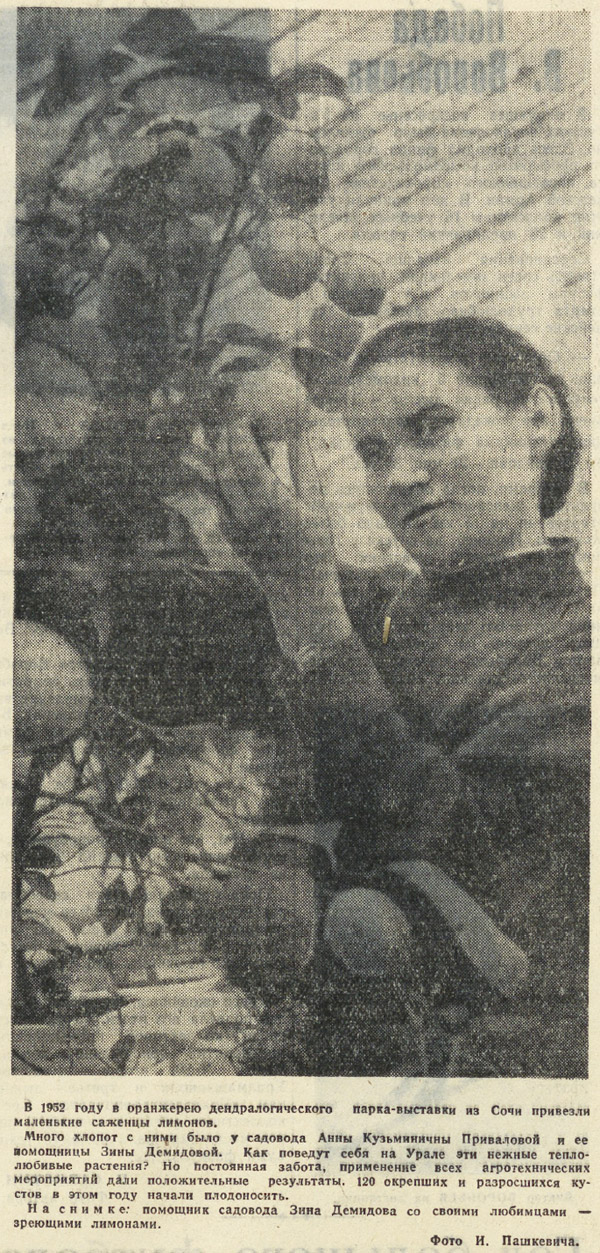 ������������� �����������