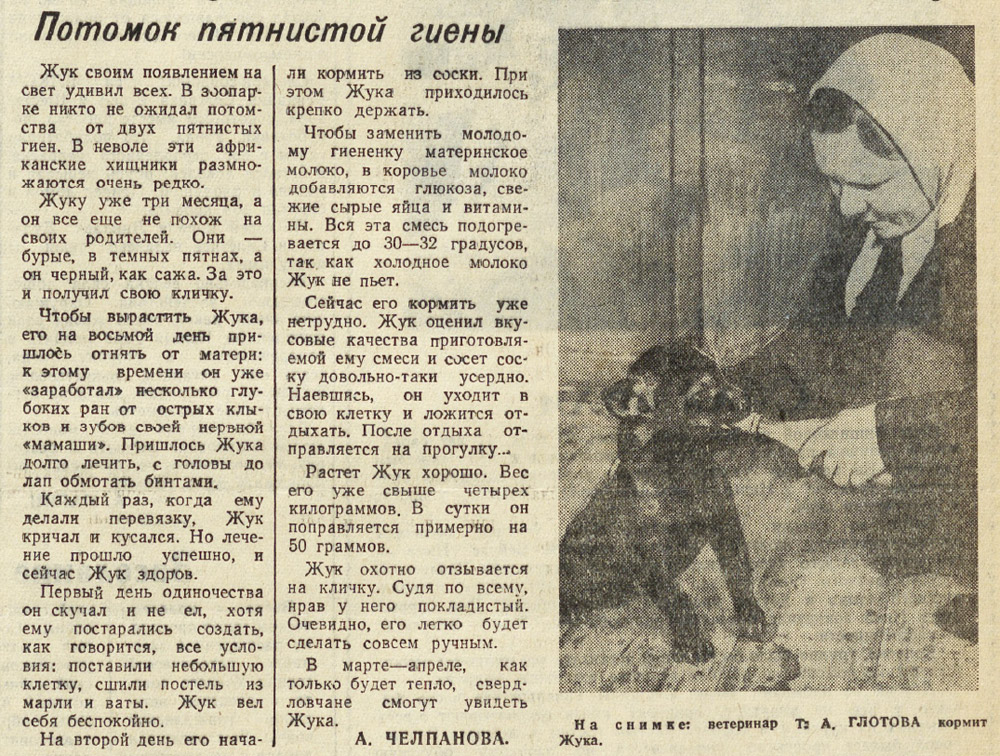 ������������� �����������