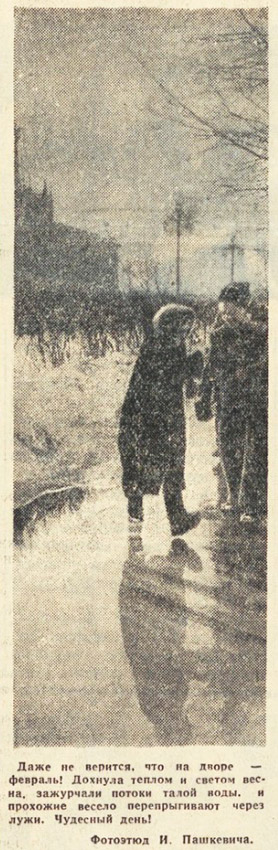 ������������� �����������