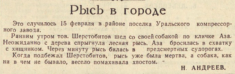 ������������� �����������