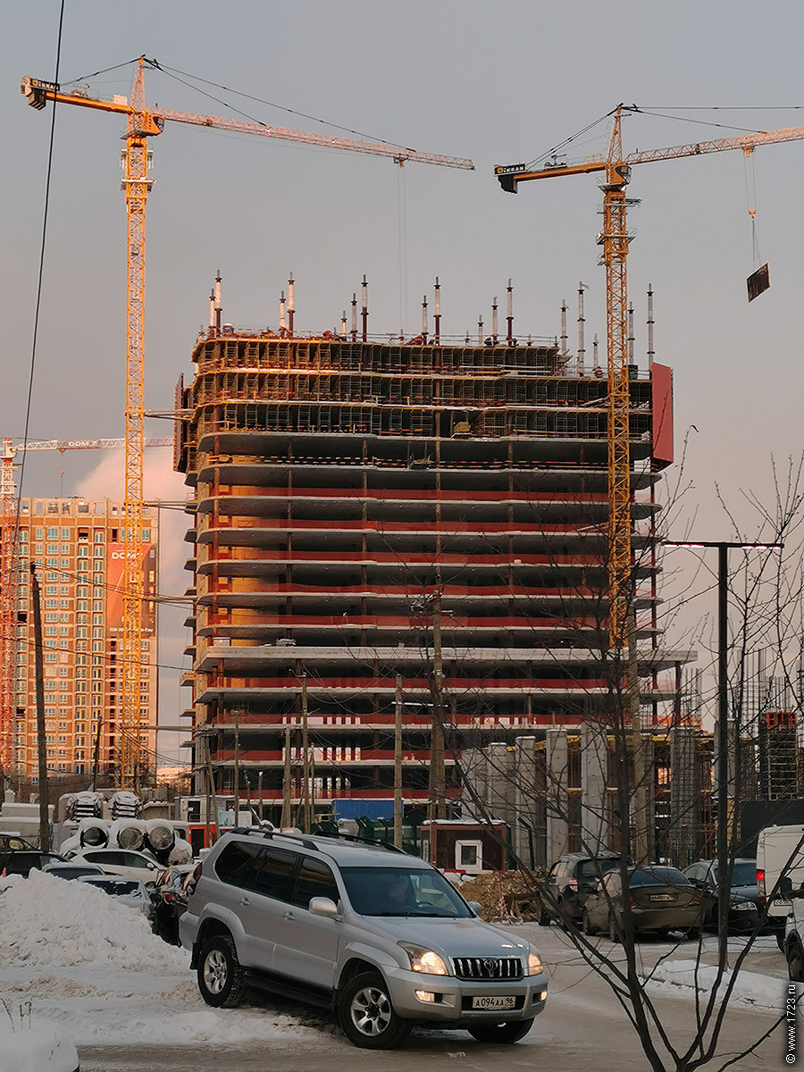 ������������� �����������