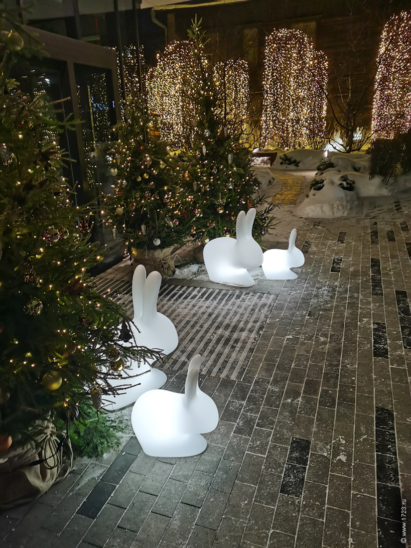 ������������� �����������