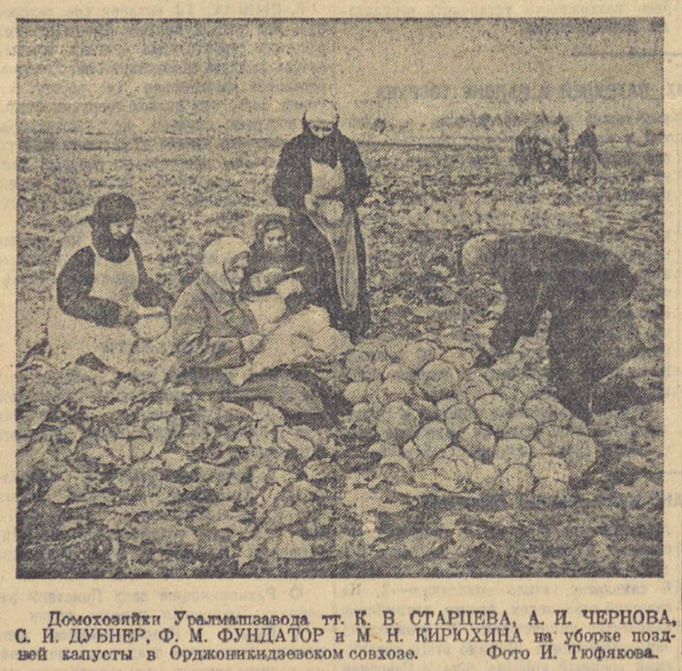 ������������� �����������