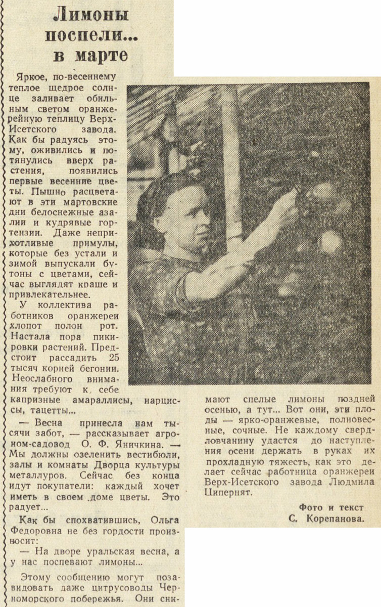 ������������� �����������