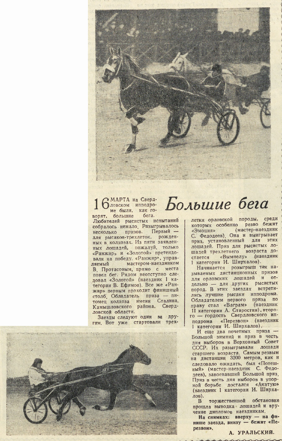 ������������� �����������