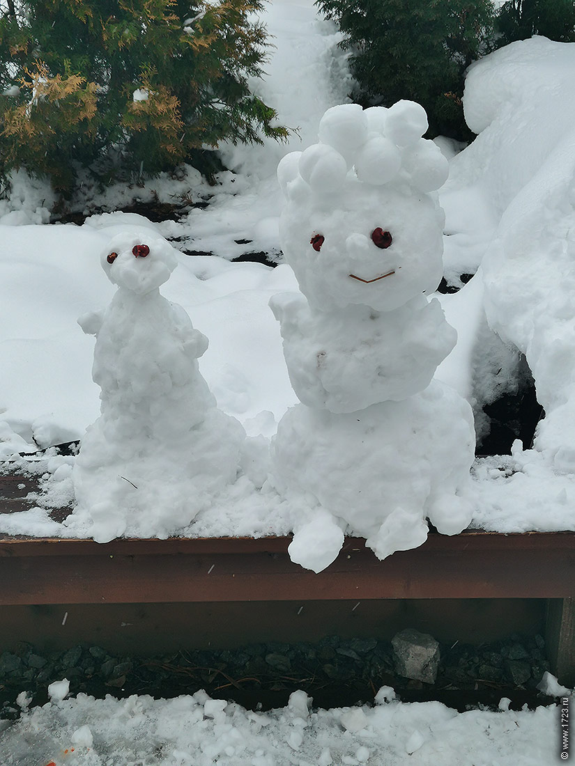 ������������� �����������