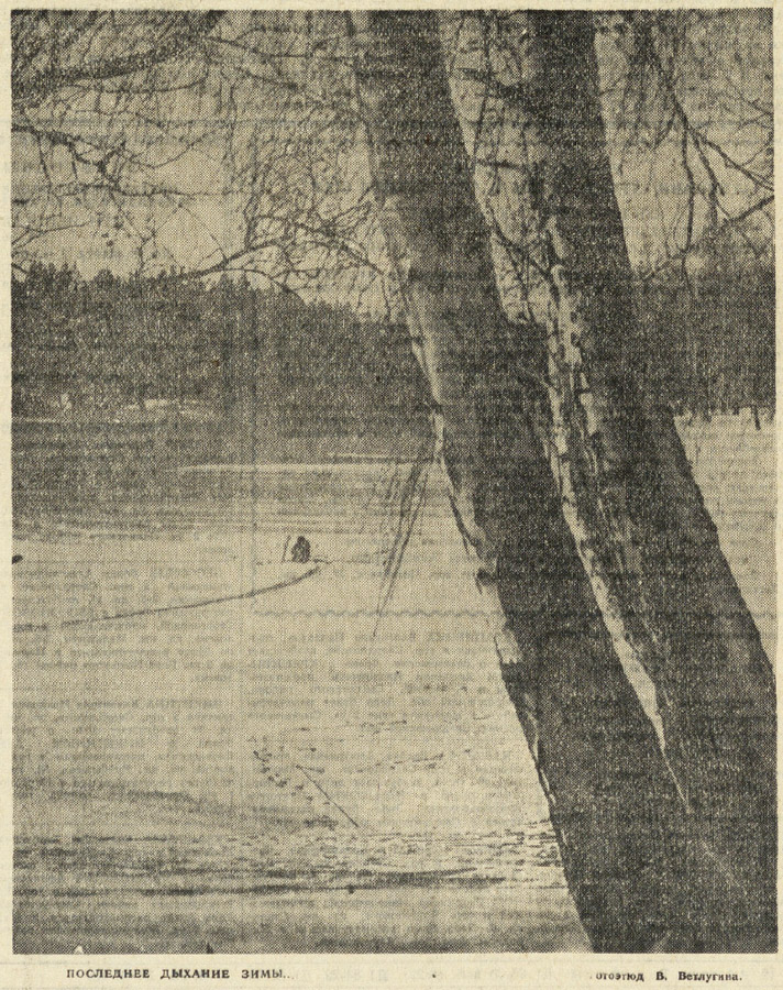 ������������� �����������