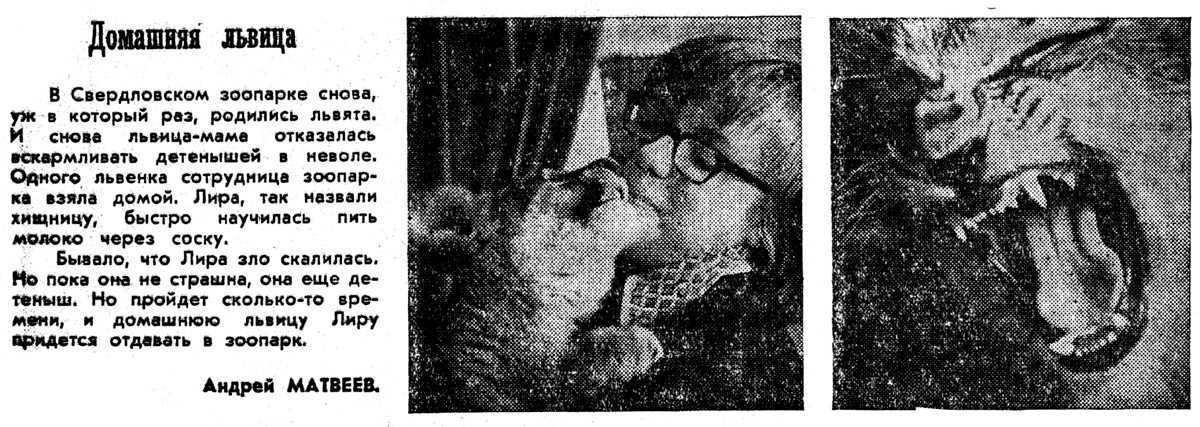 ������������� �����������