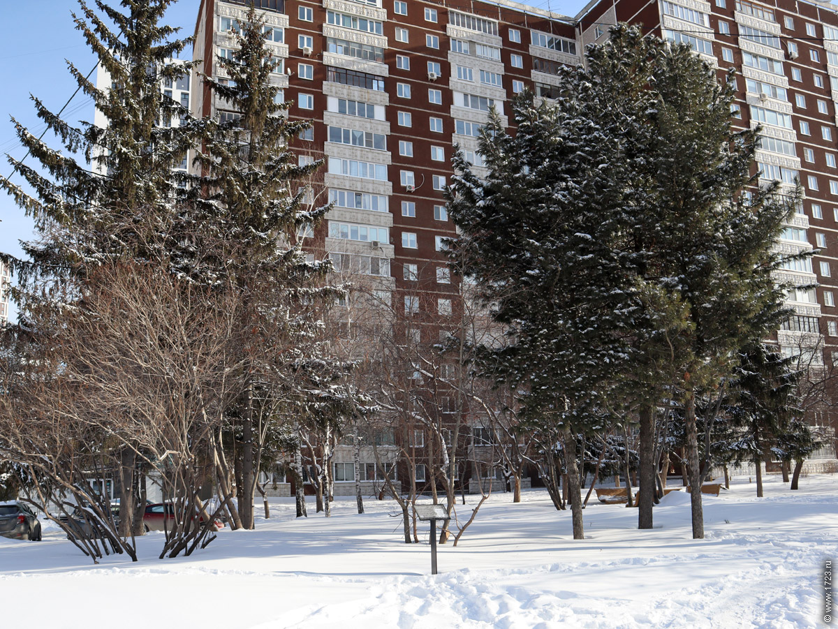 ������������� �����������