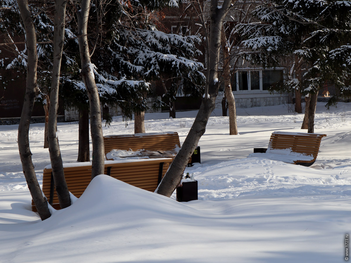 ������������� �����������