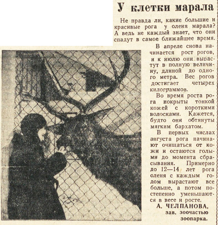 ������������� �����������