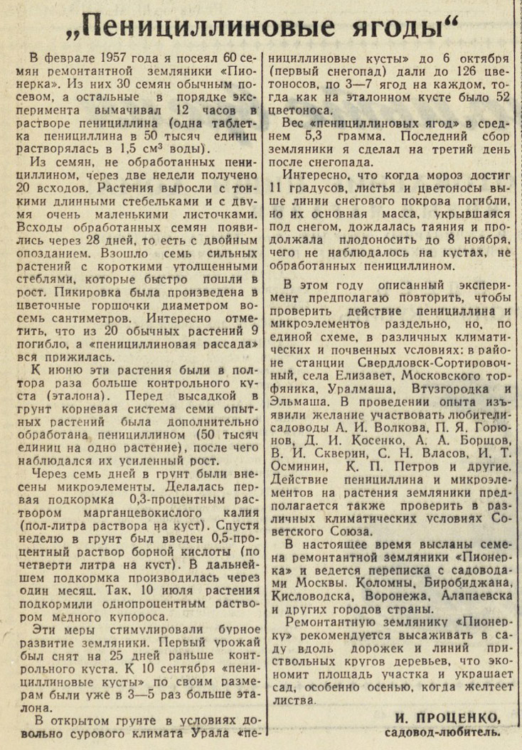 ������������� �����������