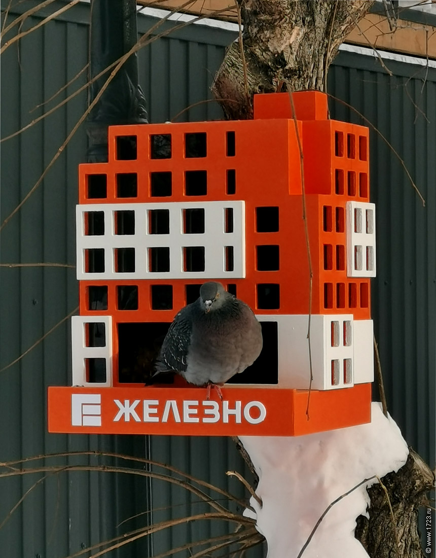 ������������� �����������