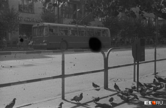 ������������� �����������