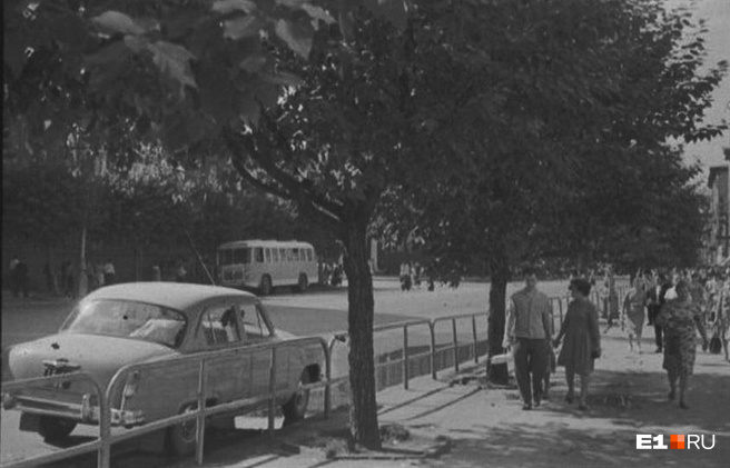 ������������� �����������