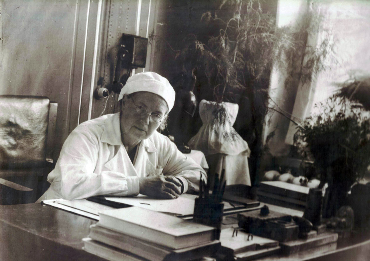 ������������� �����������