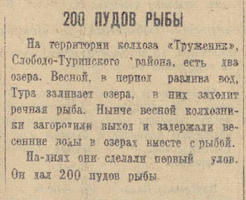 ������������� �����������