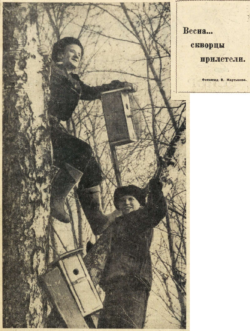 ������������� �����������