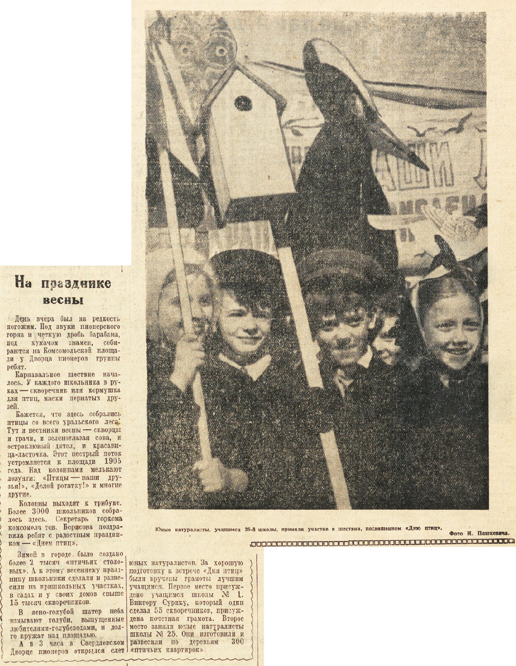 ������������� �����������