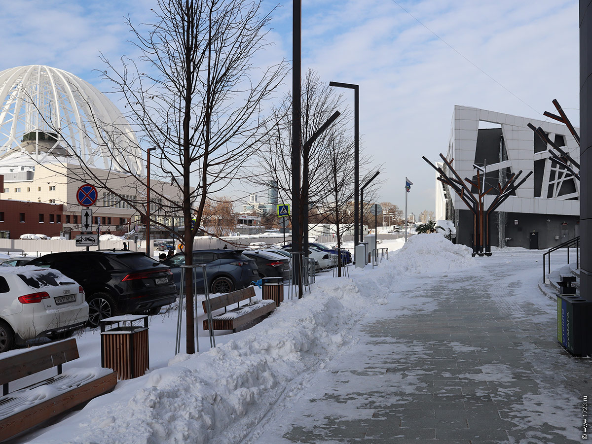 ������������� �����������