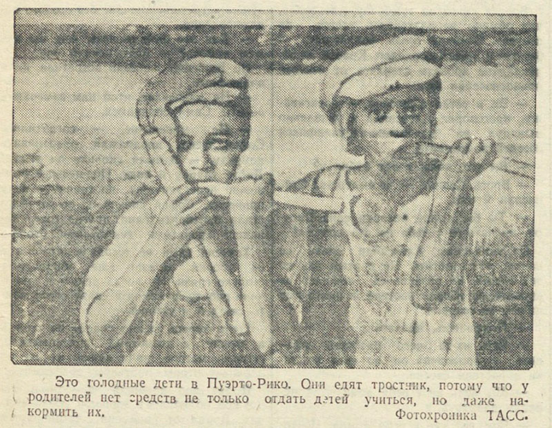 ������������� �����������