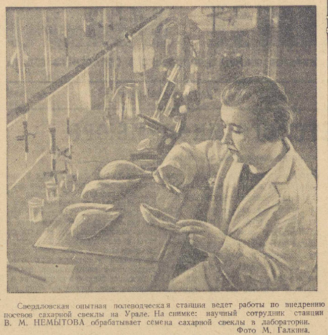 ������������� �����������