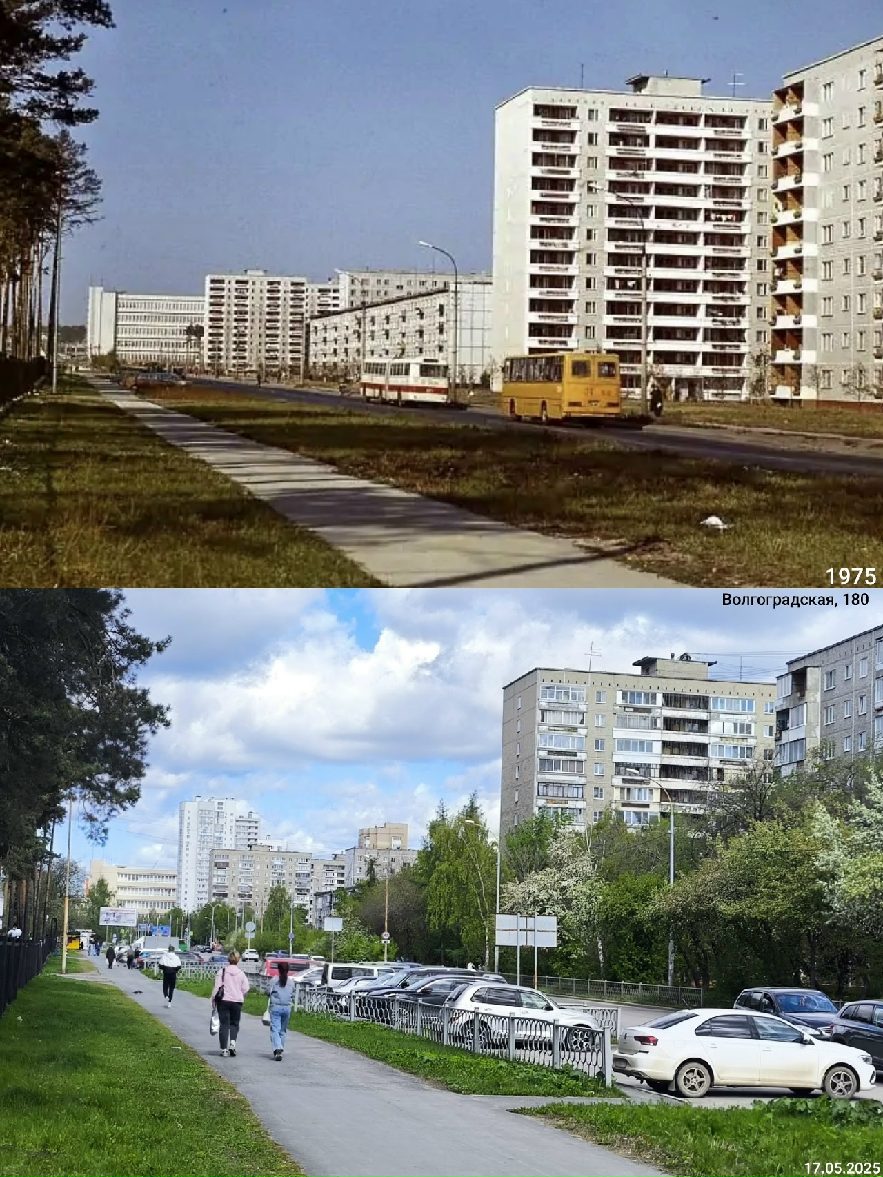 ������������� �����������