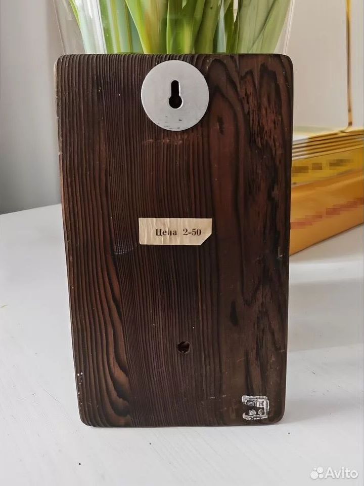 ������������� �����������