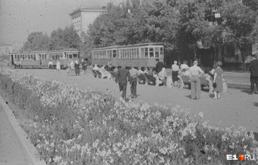 ������������� �����������