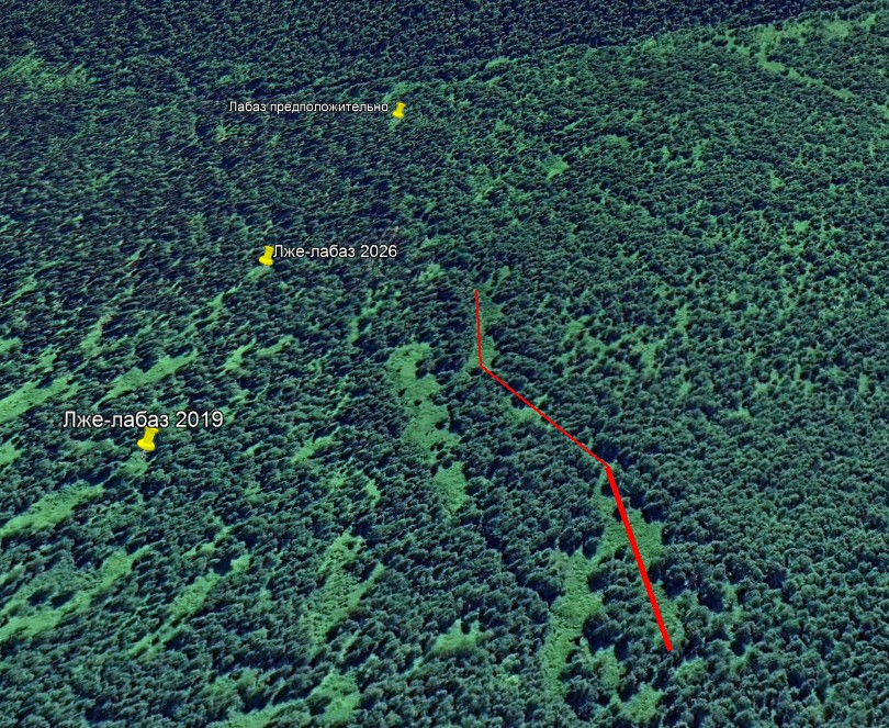 ������������� �����������