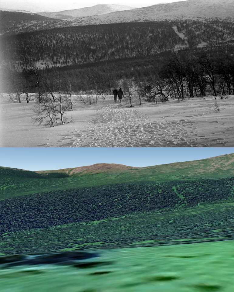 ������������� �����������