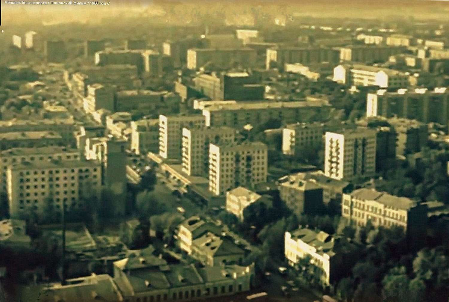 ������������� �����������