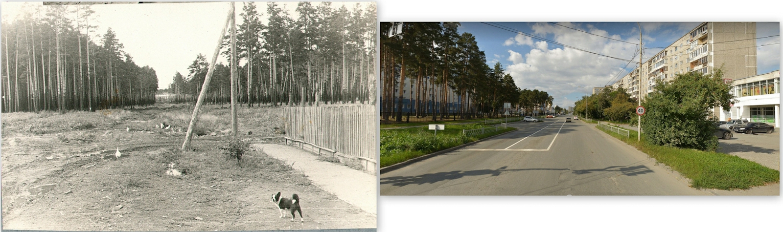 ������������� �����������