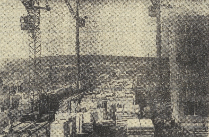 ������������� �����������