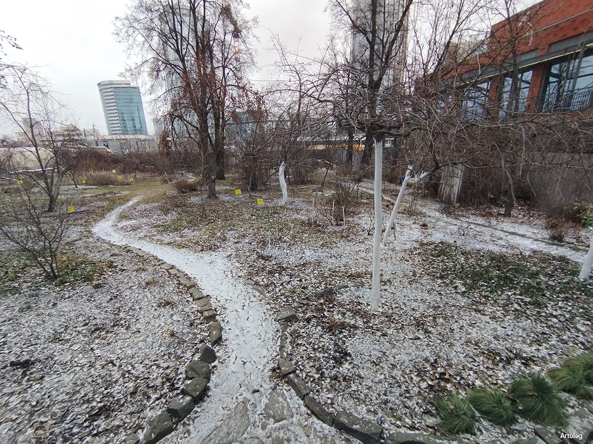 �����������