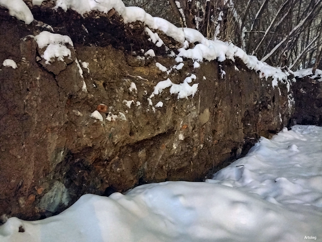 ������������� �����������