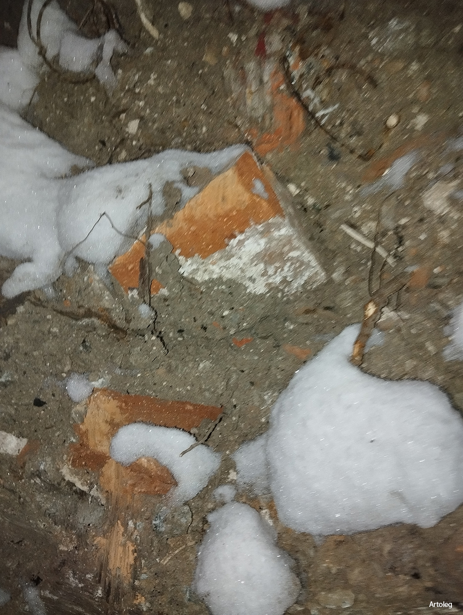 ������������� �����������