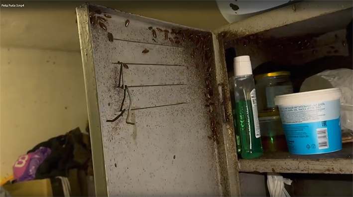 ������������� �����������