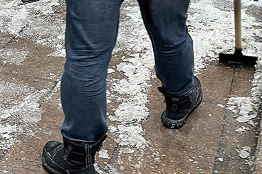 ������������� �����������