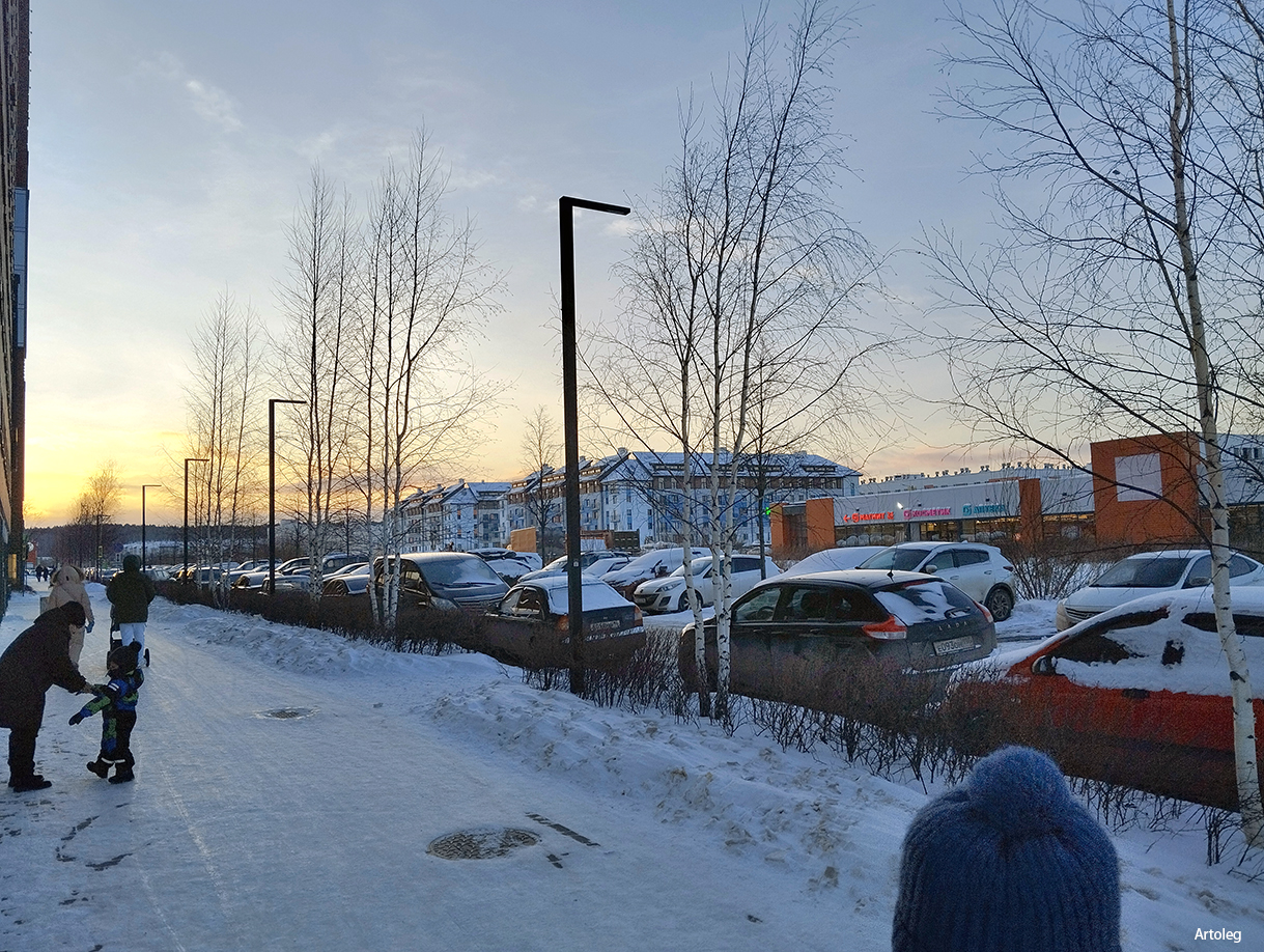 ������������� �����������