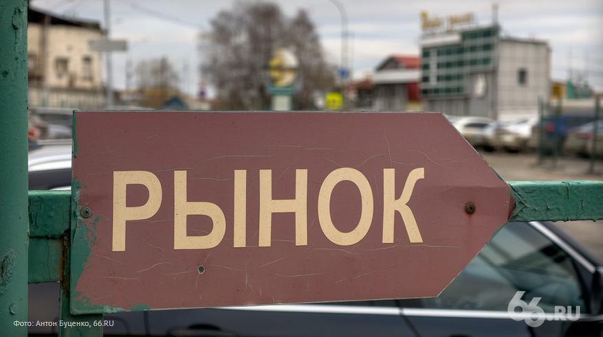 ������������� �����������