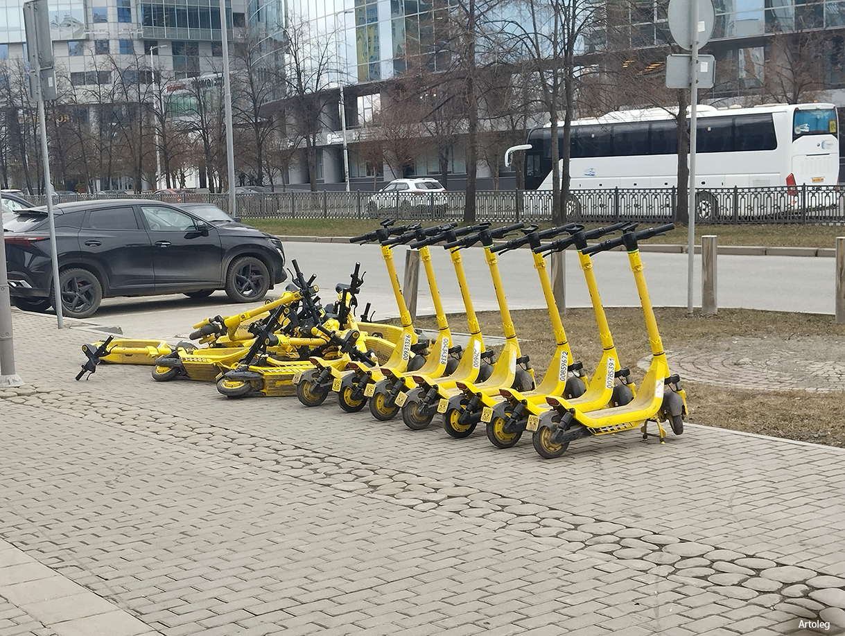 ������������� �����������