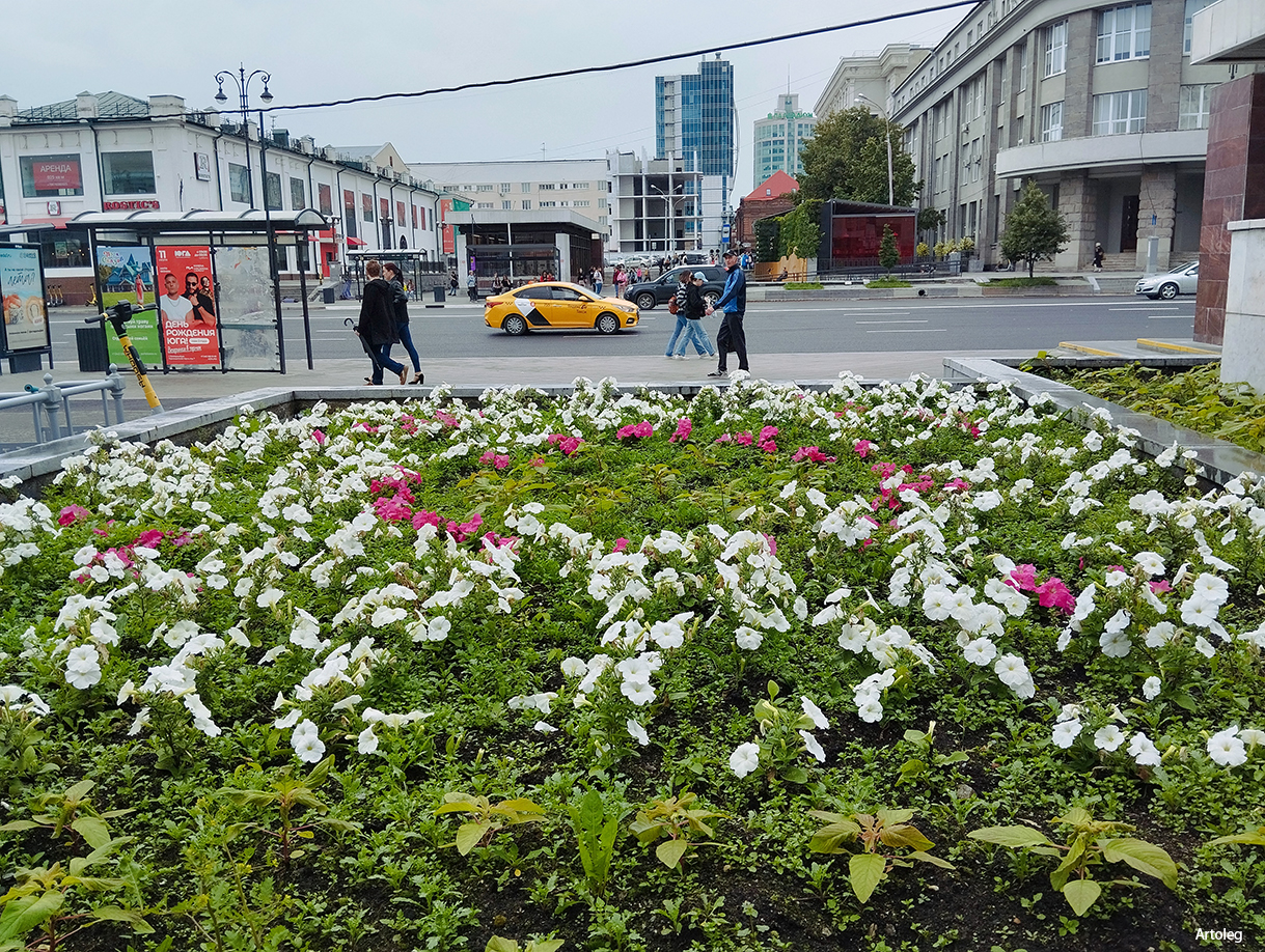 ������������� �����������