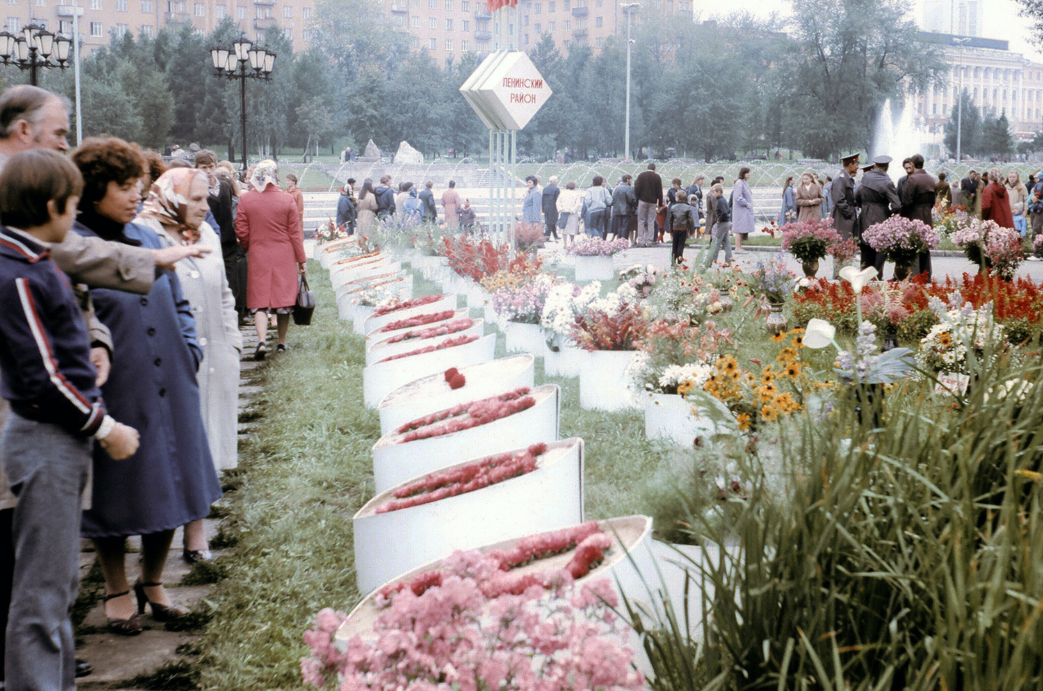 ������������� �����������