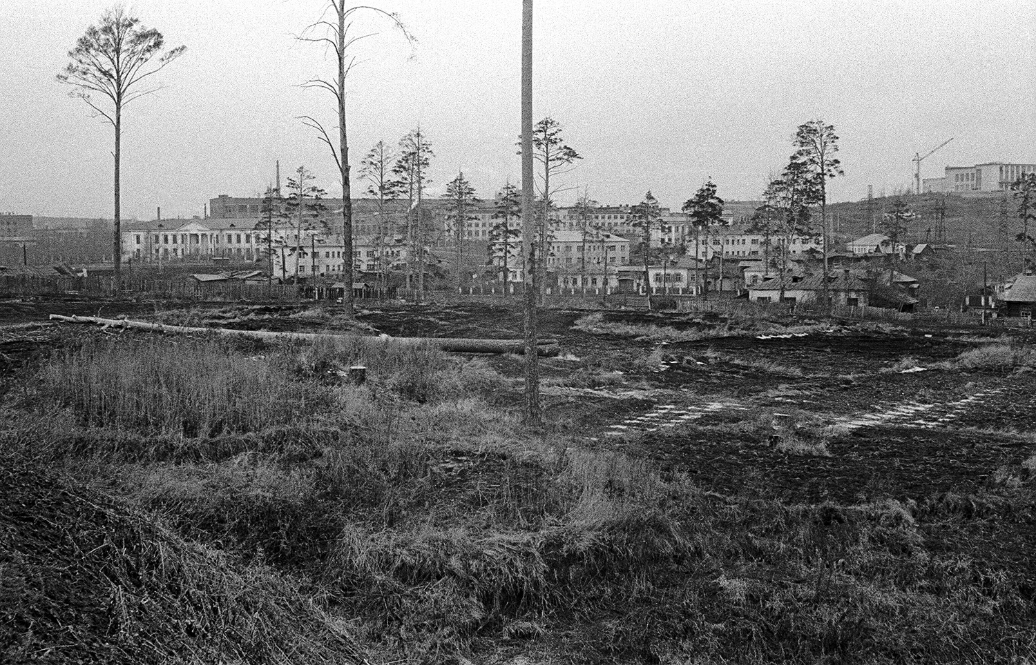 ������������� �����������