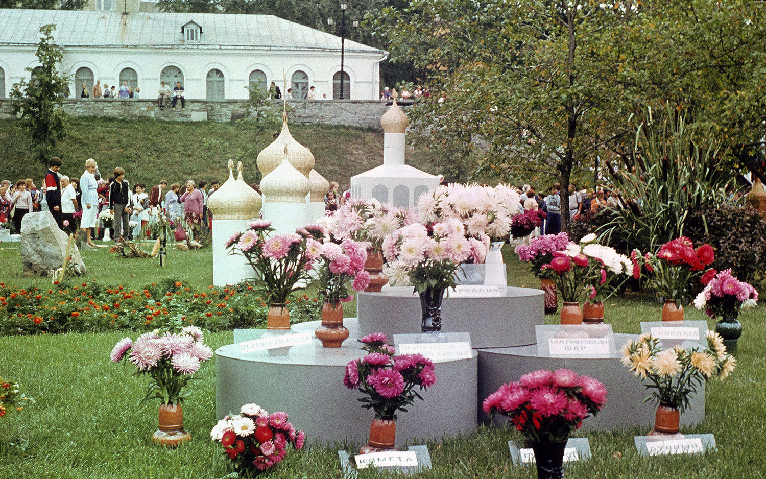 ������������� �����������