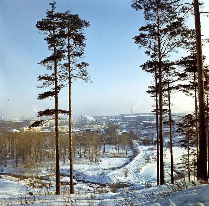 ������������� �����������