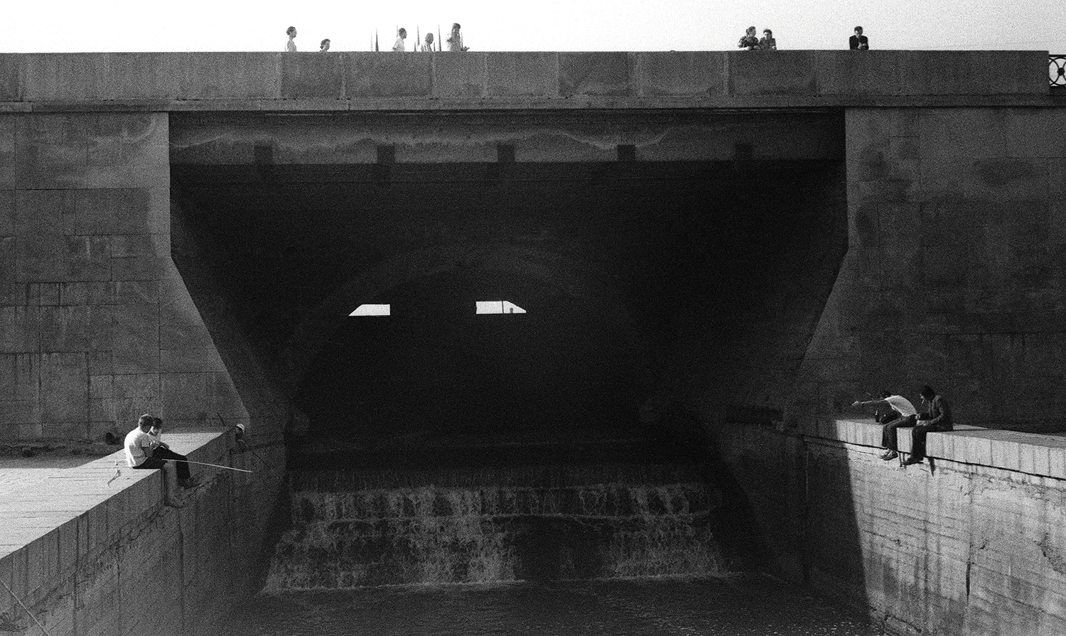 ������������� �����������