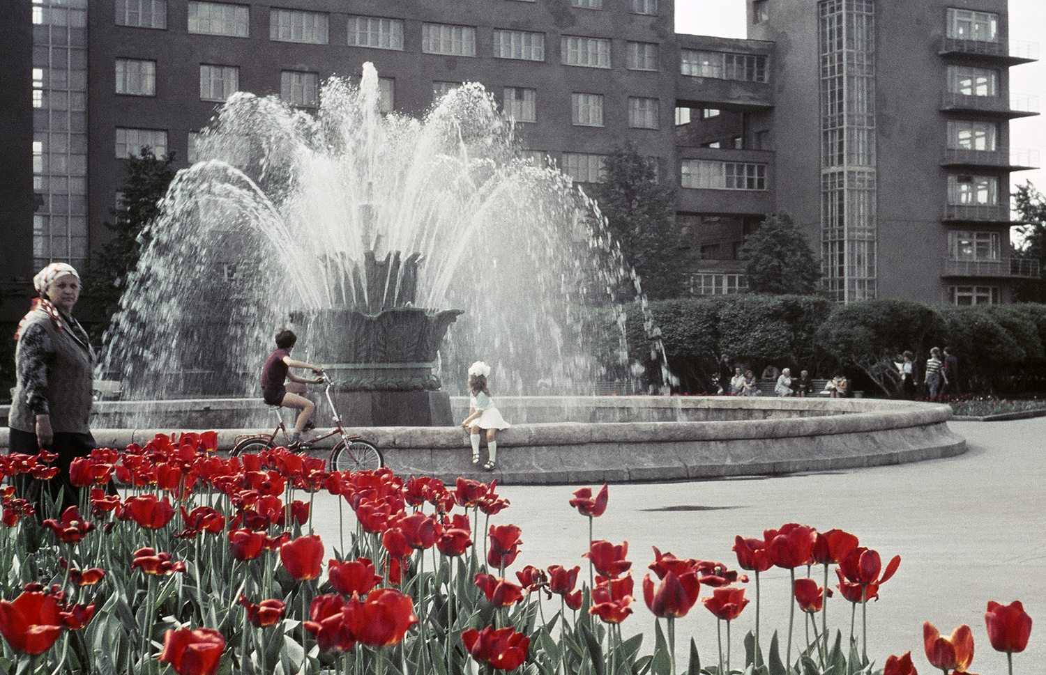 ������������� �����������