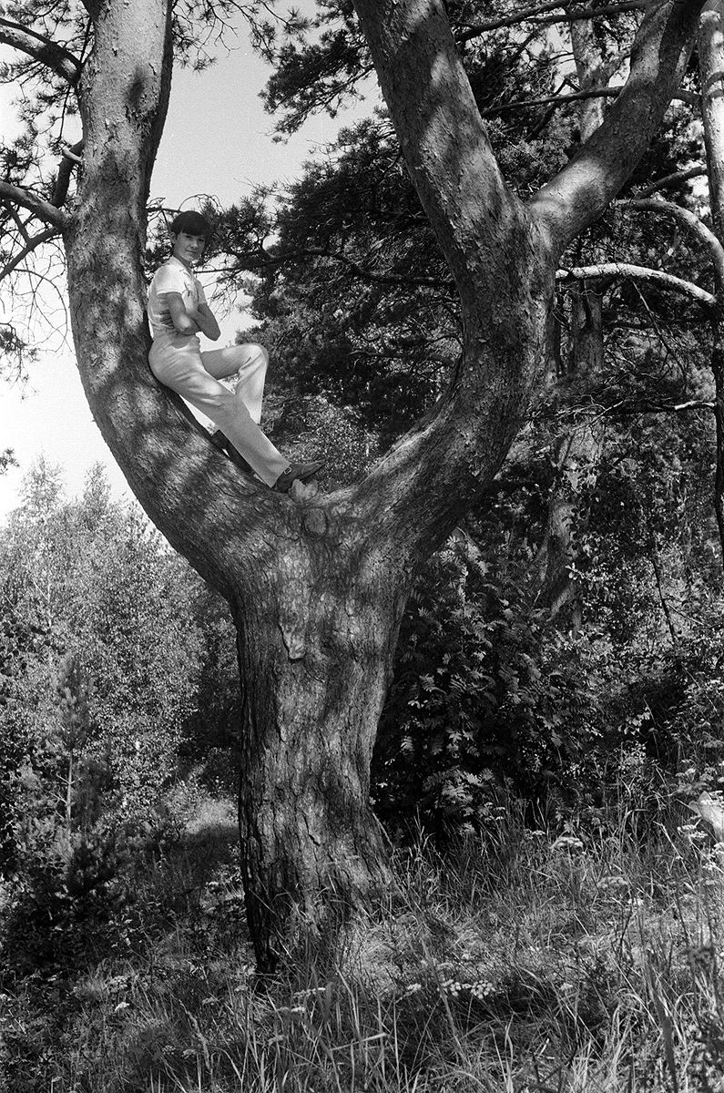 ������������� �����������